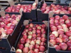 �������� ������� �������������� � ���������� ��������