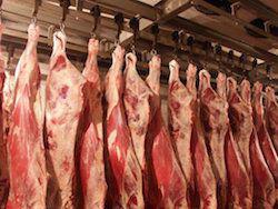 ������ �� �������� ����� ������� ������� ����� � ��