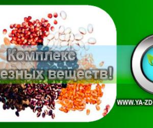 ����� �������� �������� ������� � ����