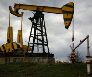 � ������������� ��������� ������ �� ����� ����������� ������������