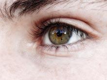 ��������: ����� �������� �������� ���������