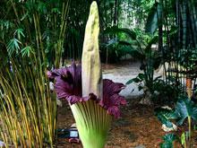 ��������������� ����� �� ��������� ������� ��������� � ��������� ��������