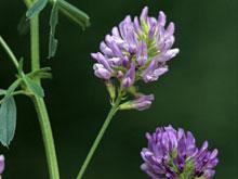 ���������� ������ ��������� ����������� ���������� �������� ������ ��������