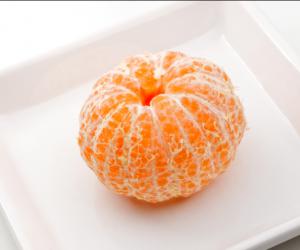 ������ ������������ �����