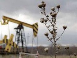 ���� � �������