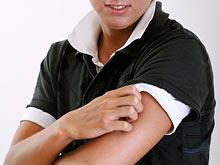 ������ - ������� ������� � ����� � ������ ���������