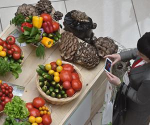 ������ ������� �������� �� ���������� �������������� �� ������