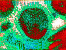 ��� �������� ������� ������ ��������������� �������� ������