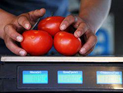 ������ ���� �� �������� � �������� ���������