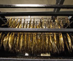 � �������������� ������� �� ���������� �������� �������� ���� ����������