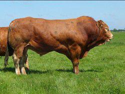 �������� �� ������� � ������ ����� ��������� ��� ����