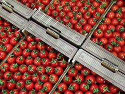 �������� ��������� � ����������