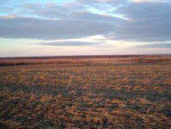 � �������� ��� ��������