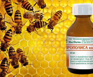 ��� 7 �������� ��� �������� ����������