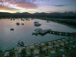 ����� ������ ���� ������ �������� ������� ���� � �������