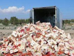 ��� ����� ������