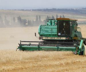 ������� �������� �������� ������ �� ����������������� ����� ������