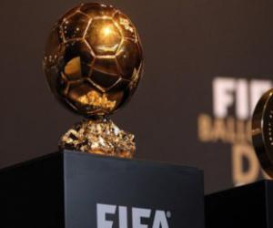  FIFA      