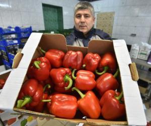 � ������ ������� ��������� ������ �� ���������� ������� � 20 ���������� ��������