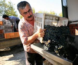 ����� ������� ������ ����� ����������� ��-�� ������� ������