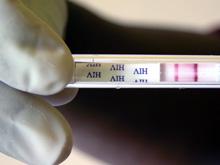 � ������ ������������ ���� ����� ���-��������������