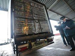 ����������� �� ������ ������� � ������ 185 ���� �������