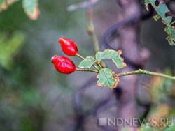 ���� ������� 2,8 ��� ������ �� ��������� ��������� ���������