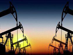 ��������� ��������� ���� ��������� ������ �����