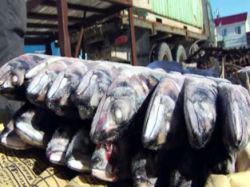 � ����� ����� ��������� ��������