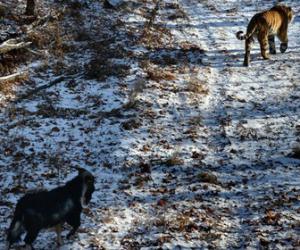 ���������� ������-���� ����� ���� ������������� ��� ����� � ������