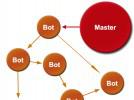   Dorkbot