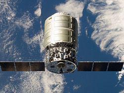  Cygnus   