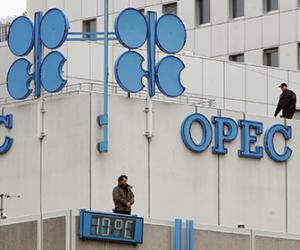 ���� ��������� ���� ���������� � ���� ������� ���������