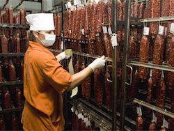 ����������������: �������� �������� � ������ �����������