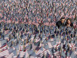 ����� ���������� � ������ ���