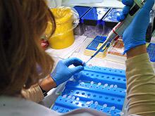 ������ ���� ��������������������� - ���� � ������� ������� ��������