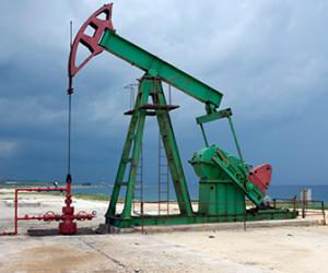 ���� �� ����� ���������� ���� 37 �������� �� �������