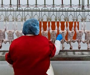 �������� �������� ���� ���� ����� �� ������