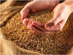 ����� ������ ����� ��� ���������� �������