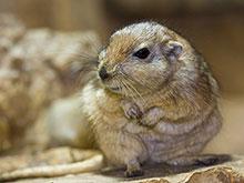 ������������� ��������, ��� ����� ������� ���, ����� �� �������� ��������