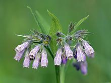 ������� ���� �������� � ���� ���� � ������ �����