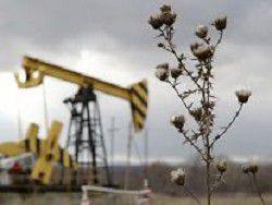 �������������� �����