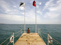 ������ ���������� ���������� ����������� �� ���������� ��������