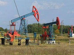 ���� ��������� ����� �� 160 ��������