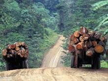 ��������������� ������� ������� � �������� �����, �������� ������������ � ��������