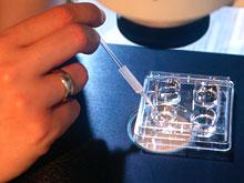 ����, ������������ � ���, ������ ��������� ���������, ������� ��������������