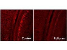 ������������� ���������� ����� ������� ������ ��������� ���������� ��������