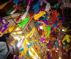 �������� ����� ������ �������� ����� �������� � 2015 ����