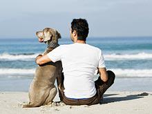 ������������� �������: ��� �����, ��� ������� �������� ���� �����������������