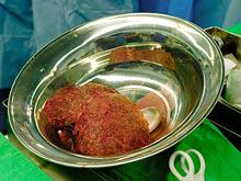 ������������� ������ ������ ��������� ��������� �� ��� ��������������